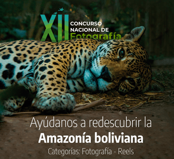 Fundación VIVA, Conservación Internacional Bolivia y SONY promueven el cuidado de la biodiversidad con un Concurso Nacional de Fotografía