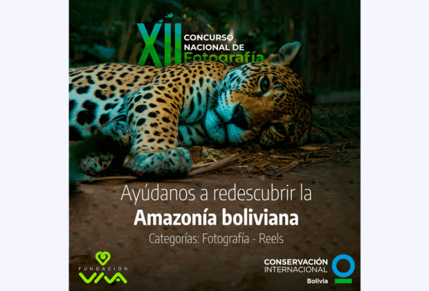 Fundación VIVA, Conservación Internacional Bolivia y SONY promueven el cuidado de la biodiversidad con un Concurso Nacional de Fotografía