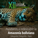 Fundación VIVA, Conservación Internacional Bolivia y SONY promueven el cuidado de la biodiversidad con un nuevo Concurso Nacional de Fotografía