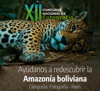 Fundación VIVA, Conservación Internacional Bolivia y SONY promueven el cuidado de la biodiversidad con un nuevo Concurso Nacional de Fotografía