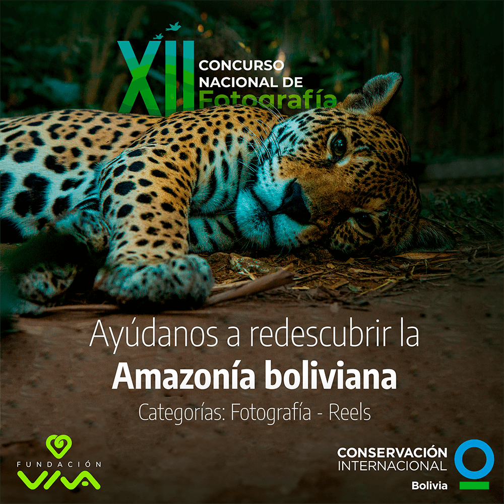 Fundación VIVA, Conservación Internacional Bolivia y SONY promueven el cuidado de la biodiversidadcon un nuevo Concurso Nacional de Fotografía
