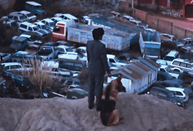 EL LADRÓN DE PERROS: eleva el cine nacional con su impacto social