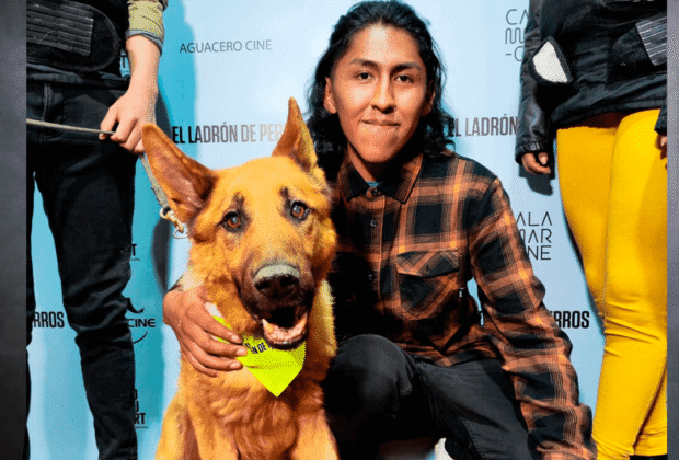 EL LADRÓN DE PERROS: eleva el cine nacional con su impacto social