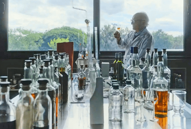 TARIJA, TIERRA DE VINOS DE ALTURA: el turismo enológico conquista Bolivia