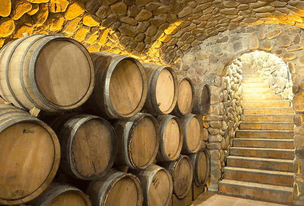 TARIJA, TIERRA DE VINOS DE ALTURA: el turismo enológico conquista Bolivia