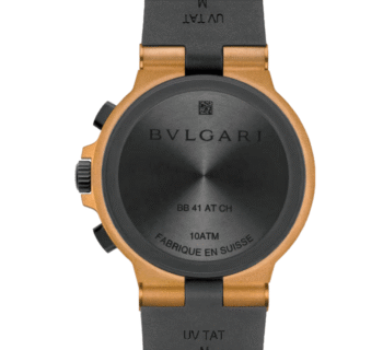 LA NOBLEZA DEL BRONCE