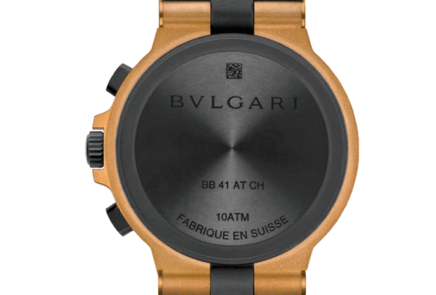 LA NOBLEZA DEL BRONCE