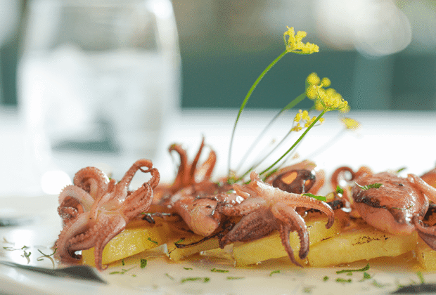 YERBA BUENA: la naturaleza como brújula del sabor