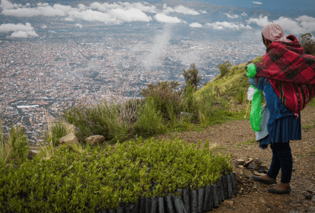 CBN celebra a la naturaleza con dos proyectos en Cochabamba