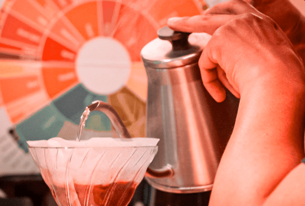 TYPICA: el café boliviano que conquista el mundo